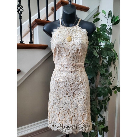 Dress Forum Ivory Lace Scalloped High Neck Midi Criss Cross Back Dress Size S - Picture 2 of 11